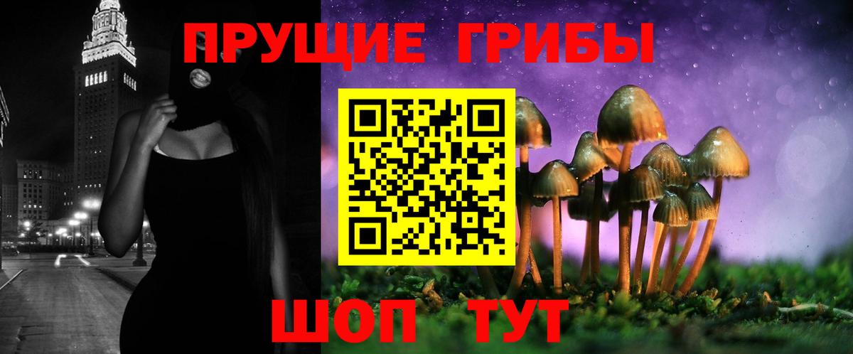 Грозный  Галлюциногенные грибы Cubensis  Вход с VPN 